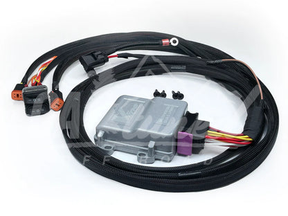 CAtuned Off-Road Light Harness for Baja Designs Lights for 2019+ Mercedes-Benz Sprinter
